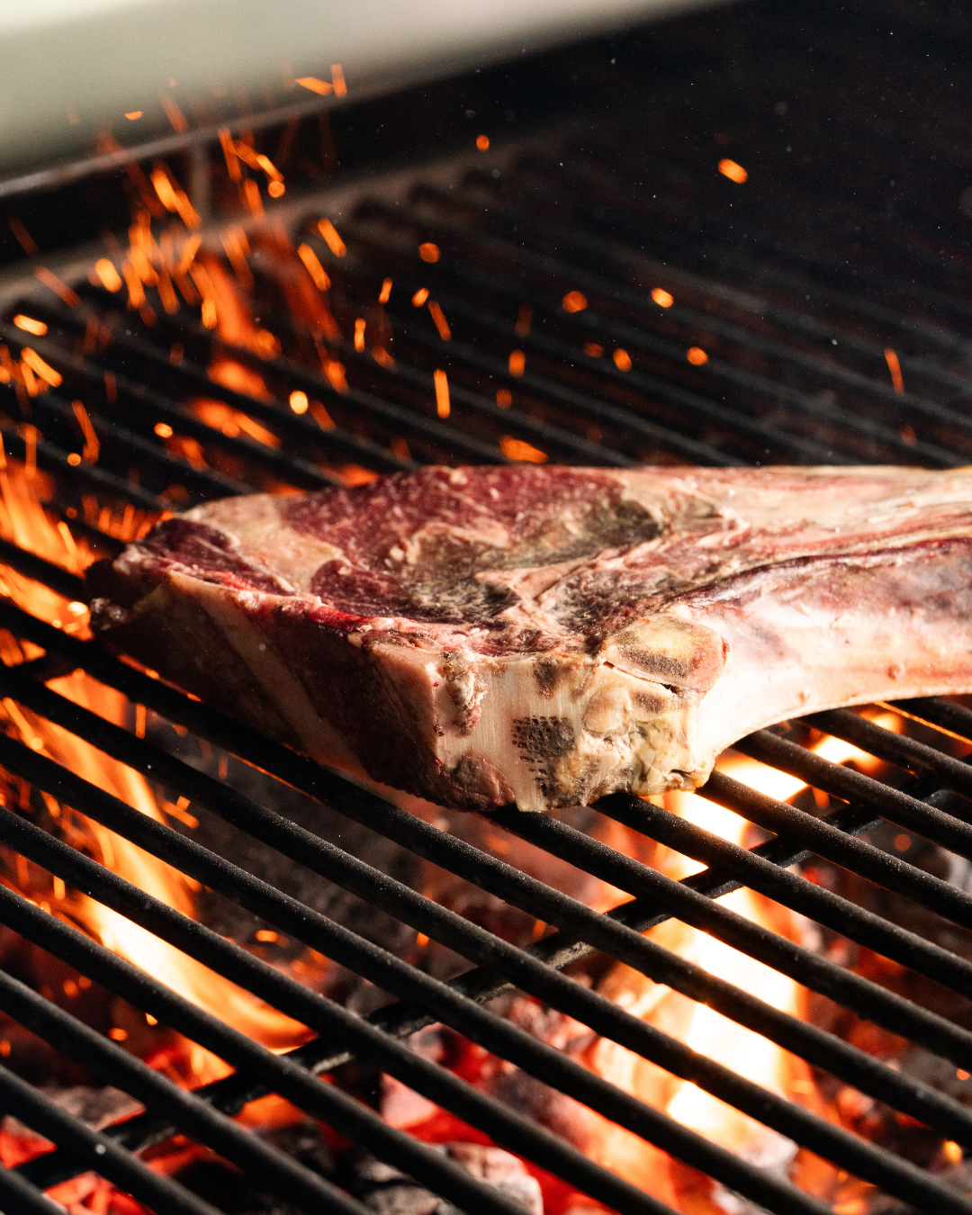 carne a la brasa el pradal
