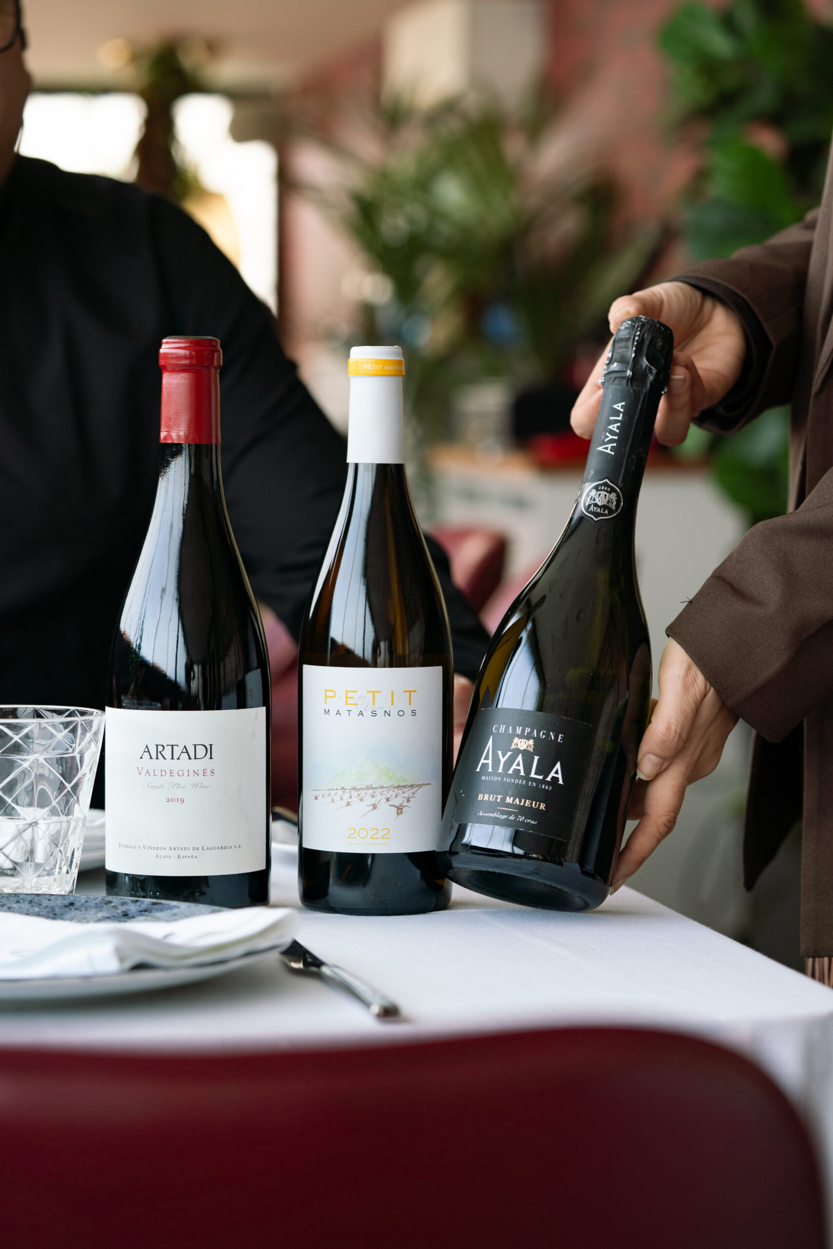 Vinos para carne El Pradal